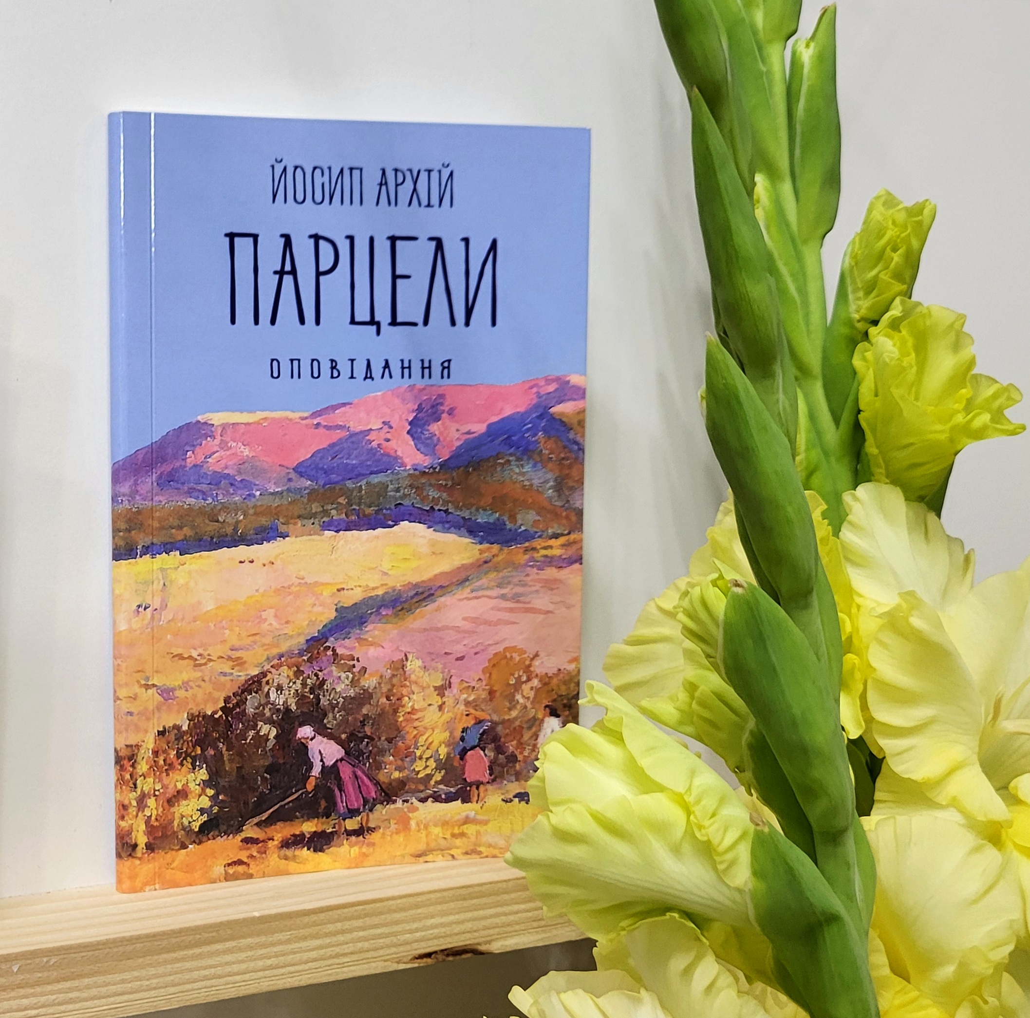 11748В Ужгороді презентували книгу Йосипа Архія «Парцели. Оповідання»